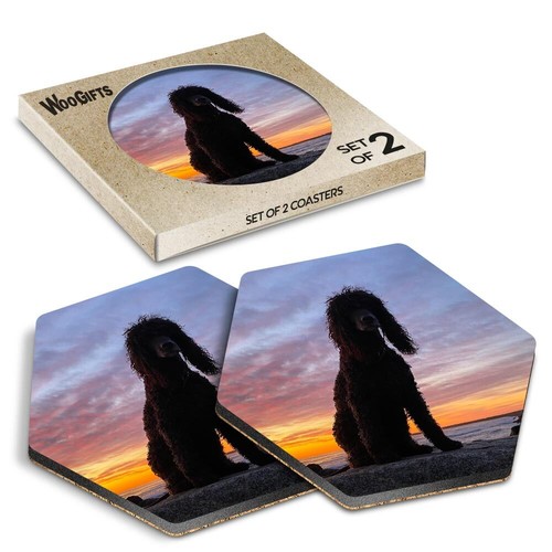 Hexagon mdf coaster beautiful - mdf,