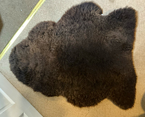 100 cornish zwartbles - cornish,