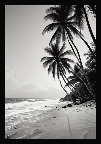 Soft tropical beach - soft,