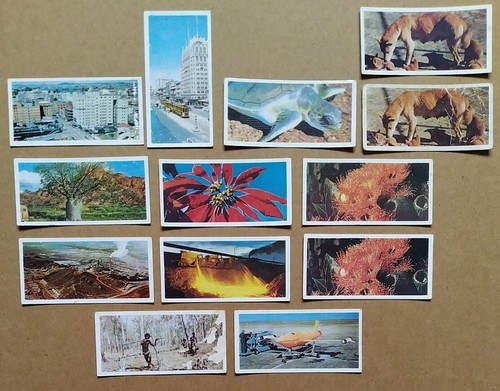Lyons tea cards - lyons, cards:
