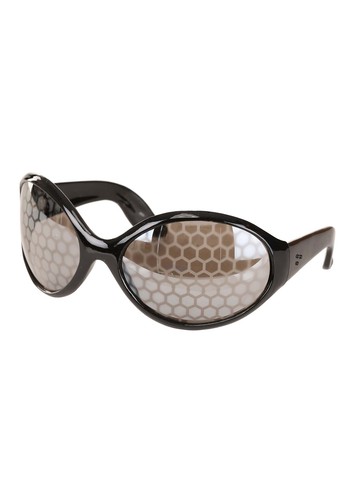 Fly bug creepy crawler - fly,