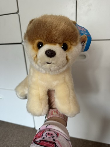 Gund boo pomeranian plush - gund,