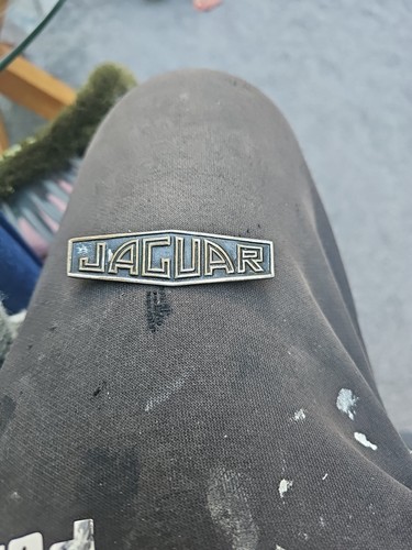 Jaguar car badge - car,
