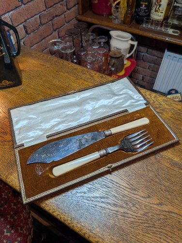 Cased antique epns - antique,