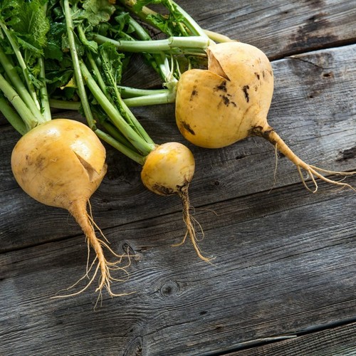 Turnip goldana 1000 seeds - goldana,