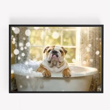Funny english bulldog in a