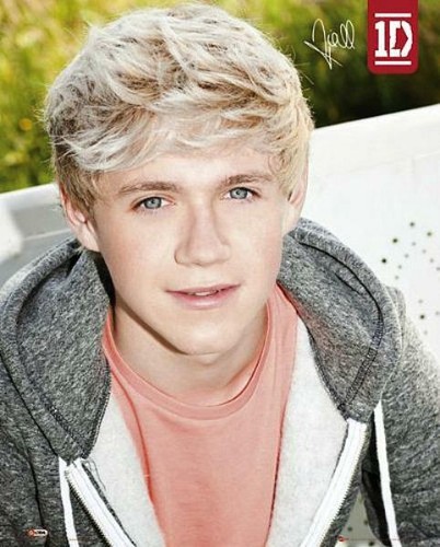 One direction niall mini - :,