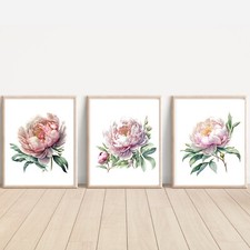 Set of Peony ART PRINTS Wall