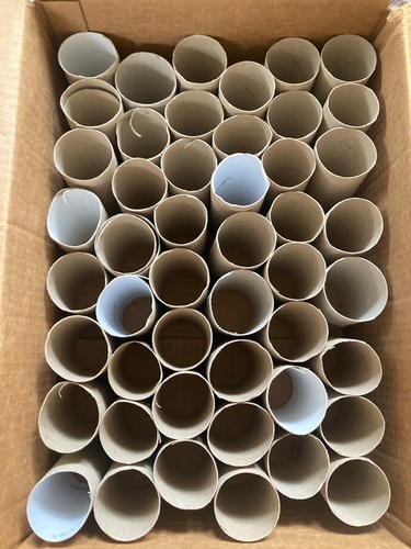 Empty cardboard toilet roll - cardboard,