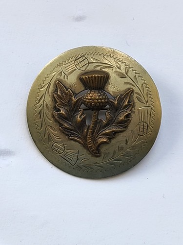 Vintage scottish thistle - vintage,