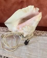 Vintage conch shell lamp - lamp, light