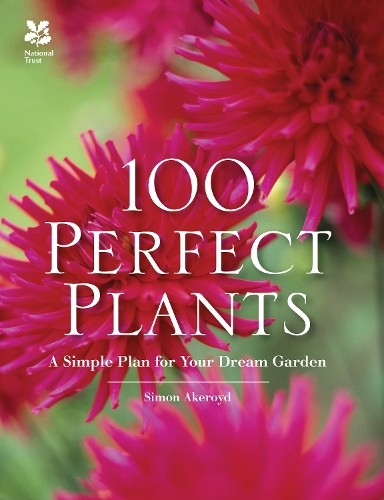 100 perfect plants - perfect, a