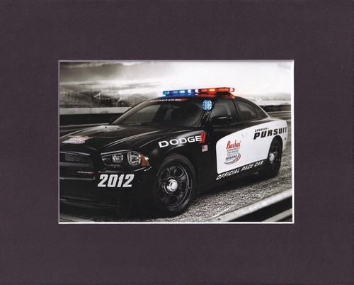 8x10 matted print muscle - 8x10",