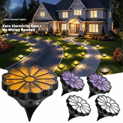 Solar daisy flower - solar,