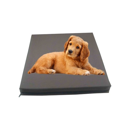 Heavy duty dog - dog, bed