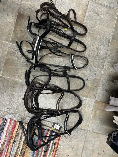 English bridles lot 6 - english,