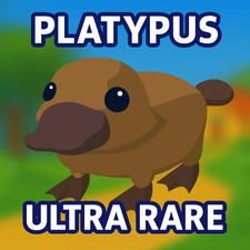 PLATYPUS (LIMITED) ADOPT A PET