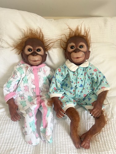 Monkey orangutan babies baby - orangutan,