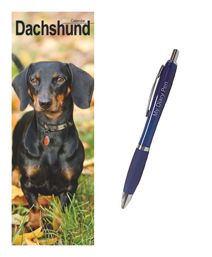 Dachshunds slim calendar - calendar, 2027