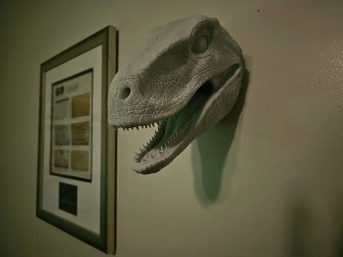 Velociraptor dinosaur head - velociraptor,