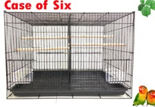 1 Case 6 of 24" Aviary Finch