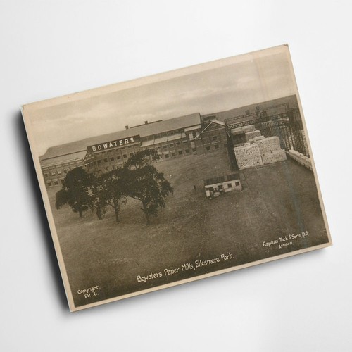 Print vintage cheshire - print,