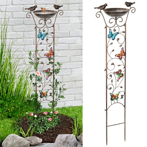 Best bird bath for - best,