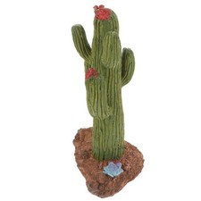 Bearded dragon habitat - bearded,