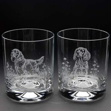 Cocker Spaniel Dog Whiskey