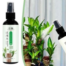 Brazilian Wood Plant Food