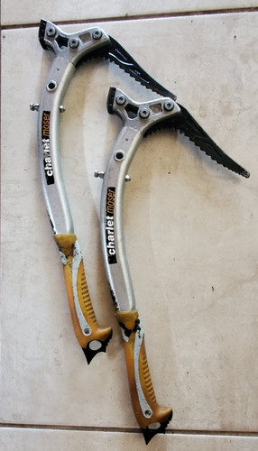 Charlet moser gen quarks ice - moser,