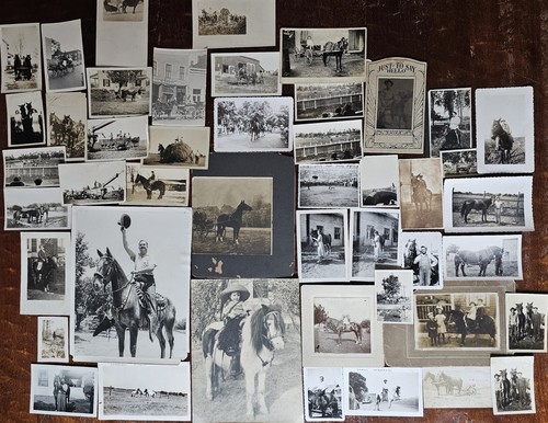 Vintage horse photos - vintage,