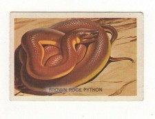 Australian Reptile Trade card