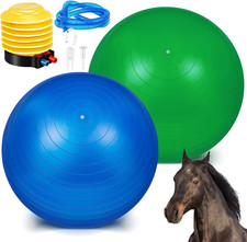 2 Pcs 40 Inch Horse Ball for