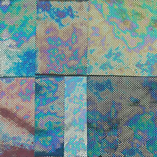 Iridescence Chameleon Hologram