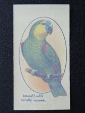 BLUE FRONTED AMAZON PARROT Aviary & Cage Birds TRANSFERS by John Player 1933