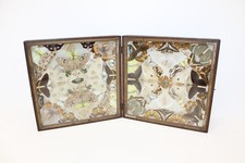 Antique butterfly moth insect entomology double display case taxidermy cabinet