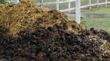 Rotted Horse Manure. Great for Mushroom and Gardening.
