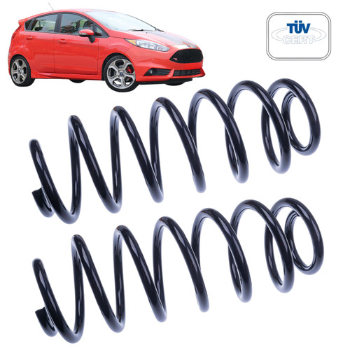 Rear suspension coil springs - rear,