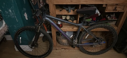 Mountain bike - mountain,