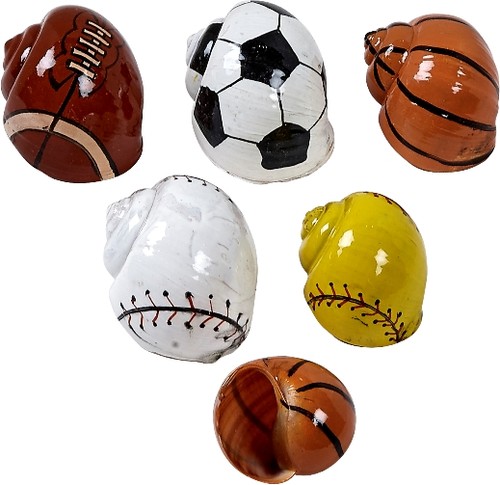 Sports balls hermit crab - sports,