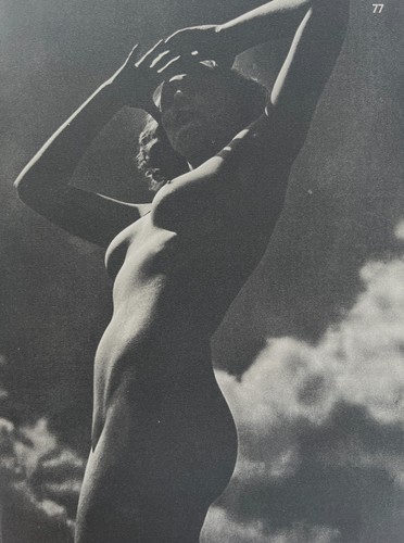 Striking nude study - plate, 77