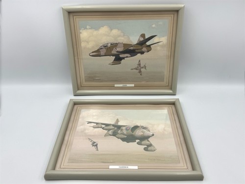Hawk and harrier - hawk, jets