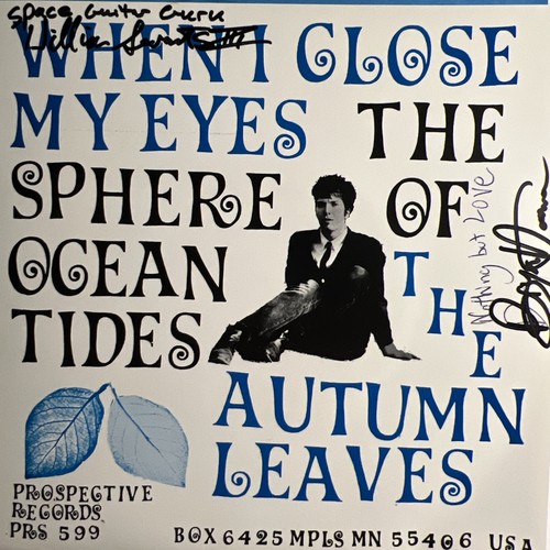 The autumn leaves - the, close