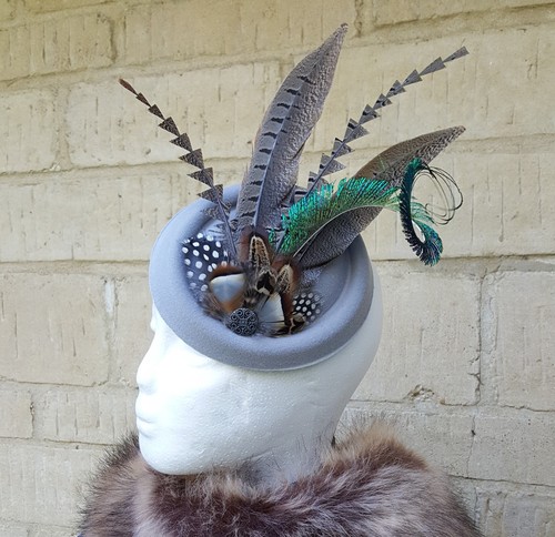 Pheasant peacock feather grey
