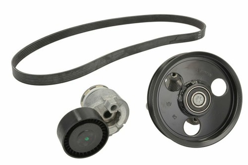 Skf vkma 36051 ribbed belt - vkma,