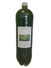 2L Chlorella Green Water
