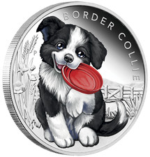 2018 Puppies - BORDER COLLIE