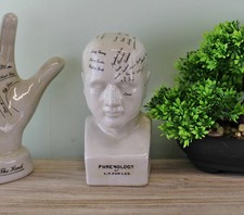Phrenology Head Bust