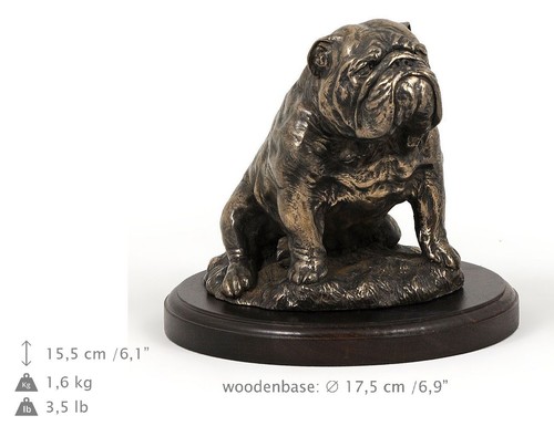 English bulldog - bulldog, (sitting)